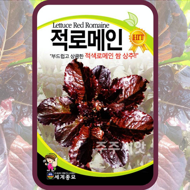 주주씨앗 채소 씨앗 모음 / 상추 쌈채소 유럽상추 치커리 다채 시금치 등, 19. 적로메인 2000립, 1개