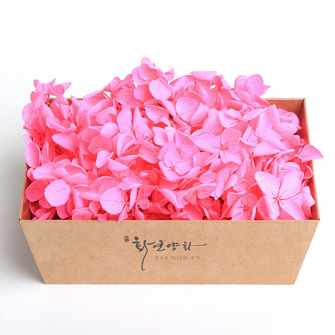 화연양화 프리저브드플라워 블루밍 케이스 수국 30색, 03 핑크