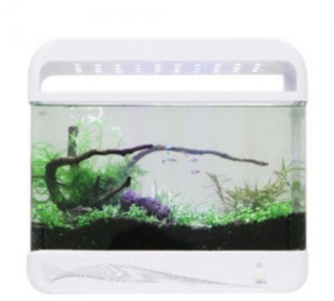 Amazon 아마존 디지털 아쿠아리움 AMZ-2000A + 측면여과기 3W 수족관, 1개