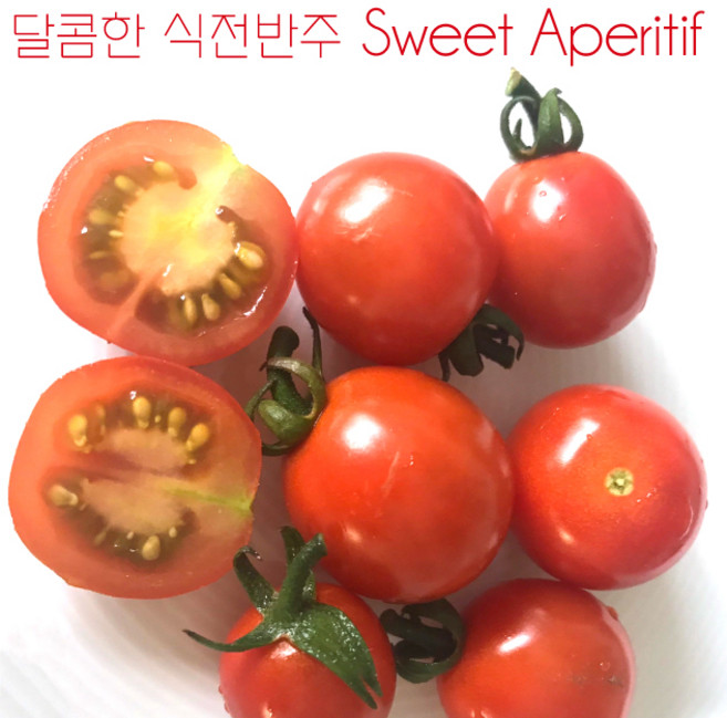 달콤한 식전반주 Sweet Aperitif 방울토마토 달콤한 희귀토마토 교육체험용 세트, 1개