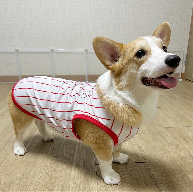 도기스타 웰시코기옷 여름 강아지 쿨조끼, 야구레드, 1개