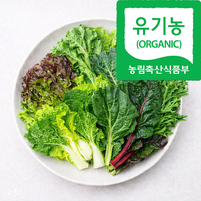 자연마을 친환경인증 유기농 당일수확 모듬 쌈 야채 샐러드 상추 모듬쌈, 1박스, 600g, 600g