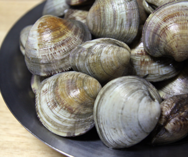 백상합 백합조개 2kg 조개구이 백생합, 백상합 중 2kg, 1개