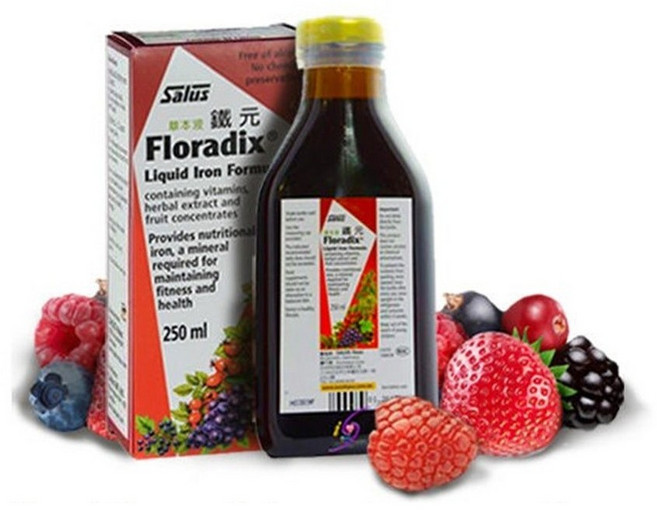Floradix 鐵元草本滋補液 植物鐵劑 250ml 德國原裝, 1個