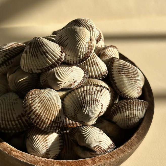 여수 벌교 새꼬막 1kg 꼬막 제철 조개 특사이즈 (20-22mm) 80알 내외, 1개