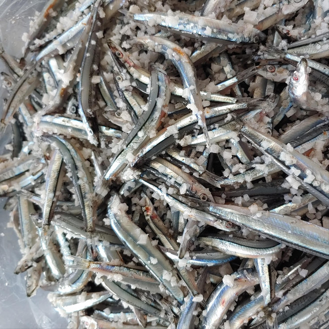 제주도 꽃멸치 염장 젓갈 멜젓 5kg, 1개