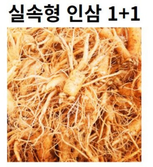 수삼 파삼 막삼 1+1 가정용 인삼 파삼 못생긴인삼 300G, 1개, 1+1 인삼 비세척0)
