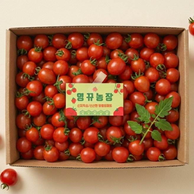 산지직송 대추 방울토마토 가정용 당도선별 당일수확, 1개, [대가족] 4kg