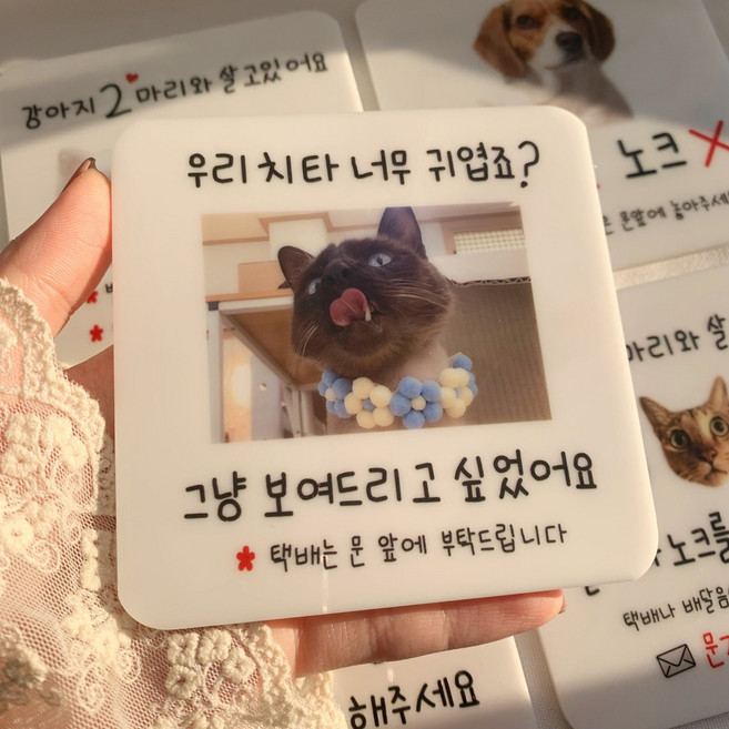 반려동물 포토 도어사인 현관문패 명패, 6번디자인