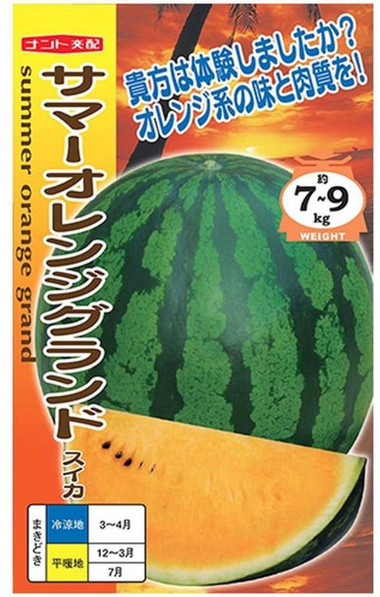 노란 노랑 수박 씨앗 - 서머 오렌지 그랜드 ( 일본 발송 ), 1개