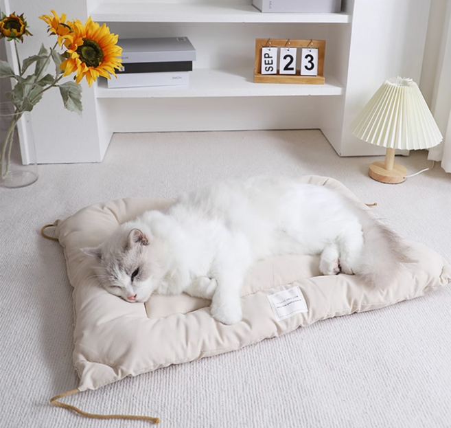 허그마이펫 강아지 고양이 방석 쿠션 침대, 오렌지, 1개