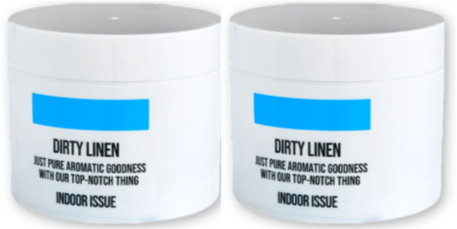 더티린넨 인도어이슈 탈취제 300g 2개