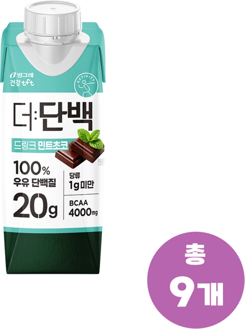 빙그레 더단백 드링크 민트초코 250ml 9개
