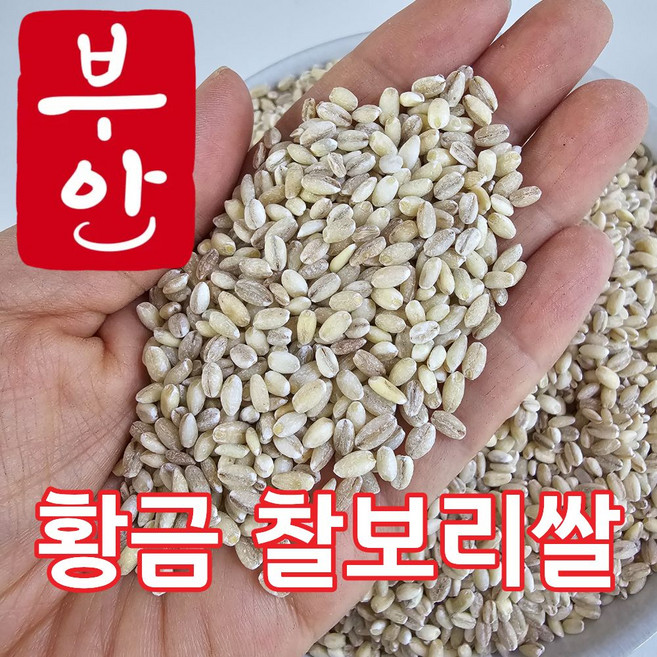 더맛곳간 국산 황금 찰보리쌀 찰보리 국내산 보리쌀 보리 쌀찰보리, 2개, 4kg