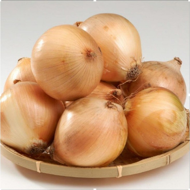 [오늘야채]25년 창녕 햇양파(중) 산지직송 양파, 1개, 5kg (중)