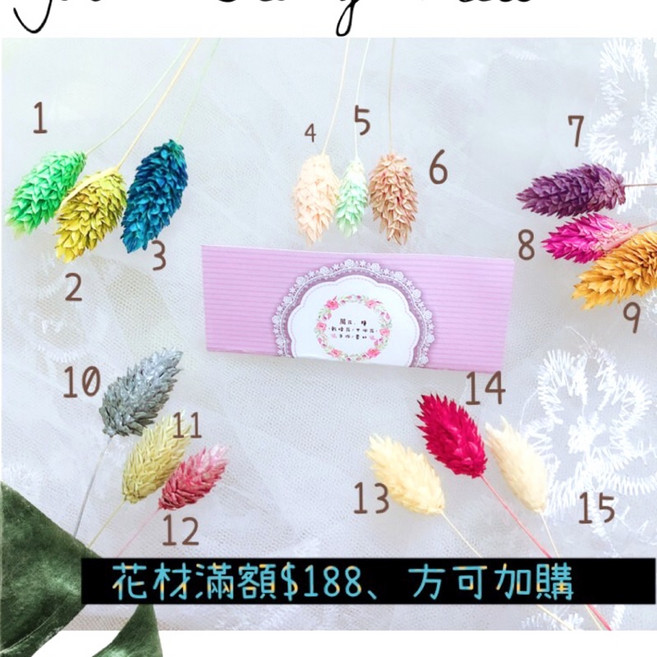 乾燥花 不凋加納利 捧花 胸花 兔尾草 手腕花 永生花 花束 蠟菊 花禮 盆花 桌花 擺設 佈置, 6-裸粉豆沙*3