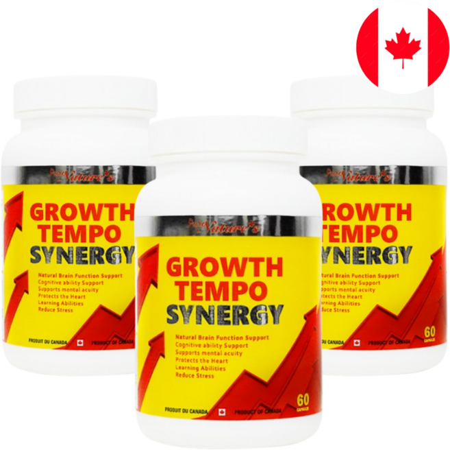 그로스템포 시너지 PNC 3병 두뇌 브레인 영양제품 3개월, 3세트, 60정