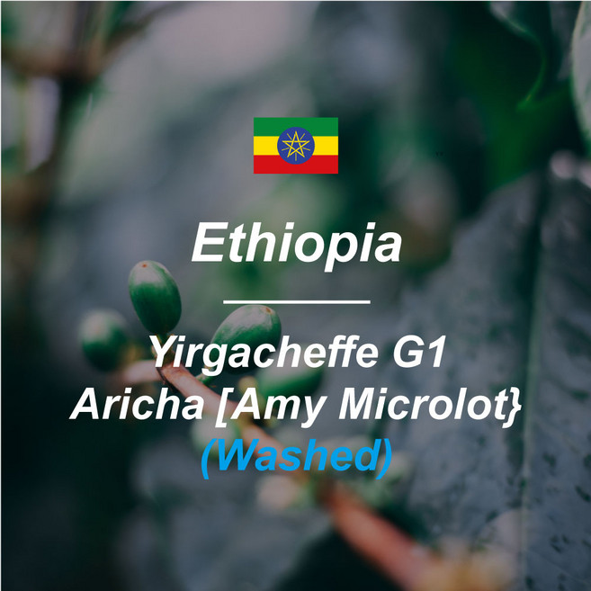 [커피생두] 2025 예가체프 G1 아리차 [에이미 마이크로랏] 워시드 1KG, 1개