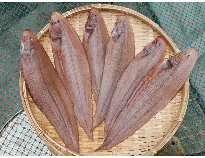 반건조 특대 박대 5마리 35cm 내외, 4개