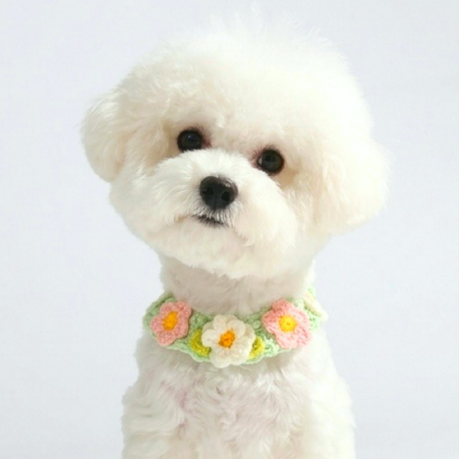 큐앤캐롯 강아지 케이프 벚꽃 스카프 플라워 대형견, 1개, 그린