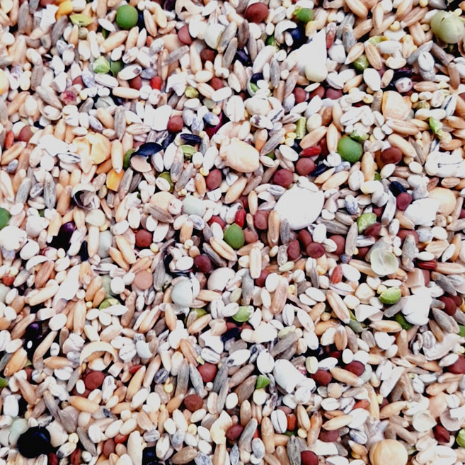 50년전통대현상회 균형혼합 24곡 리필 프리미엄잡곡, 1개, 1kg