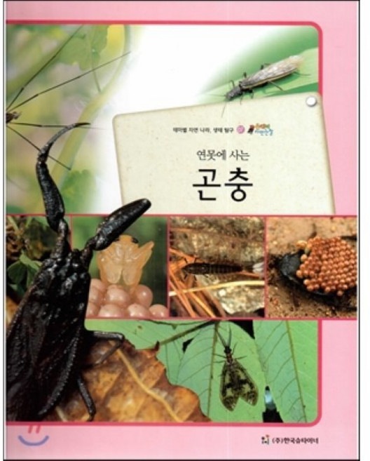 올빼미 자연관찰 07 연못에 사는 곤충 (곤충류), 한국슈타이너