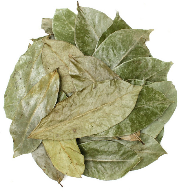 자연초 그라비올라 500g 그라비올라잎차, 2개