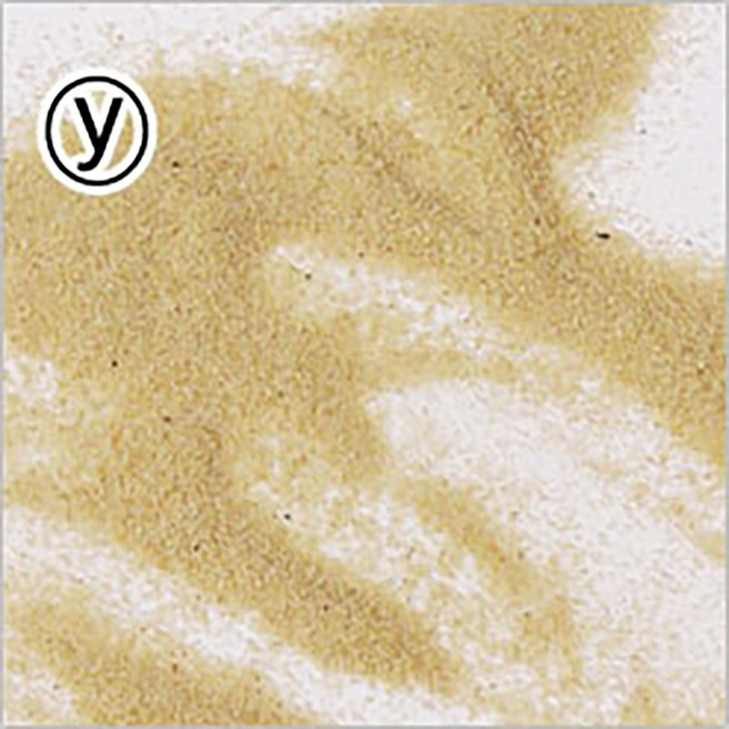 샌드아트모래 레드 옐로우 1.2kg 전문가용 샌드아트 전용 모래, 1개, 옐로우(Y)