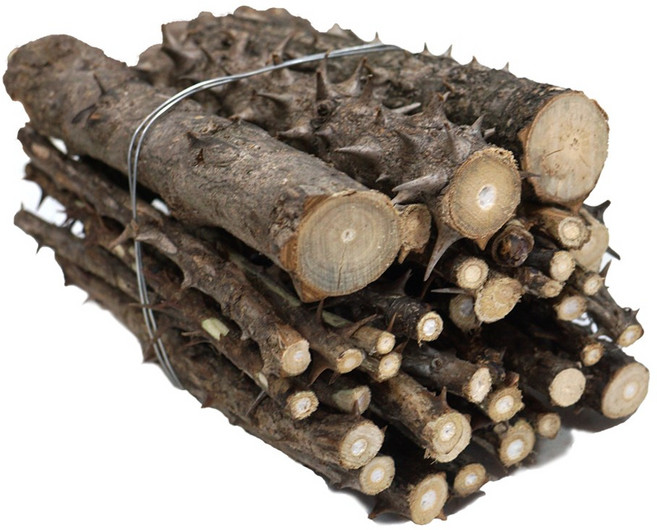 동광한방몰 국내산 가시엄나무, 400g, 1개