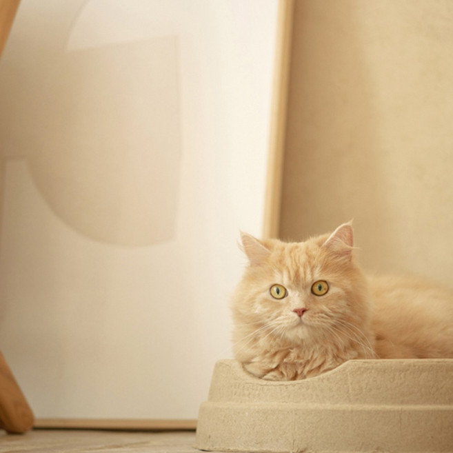 품다 종이방석 스크래쳐