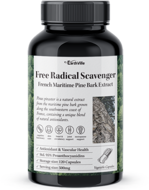 어스빌 프랑스해안송소나무껍질 500mg 프로안토시아니딘 안토시아닌 폴리페놀, 120정, 1개