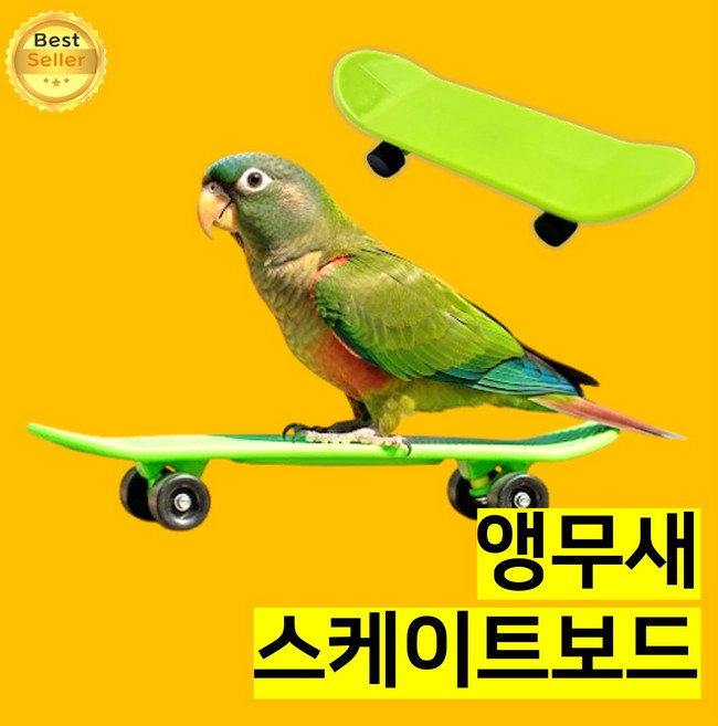 쎄네핏 앵무새보드 앵무새장난감 앵무새스케이트 보드 훈련, 그린, 1개