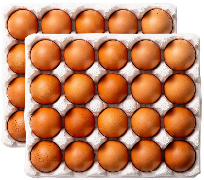 HACCP 난각번호 1번 자연방사 유정란, 1개, 40구