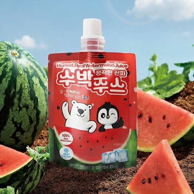 정직한 진짜 수박주스 100% 과일쥬스, 20개, 110ml