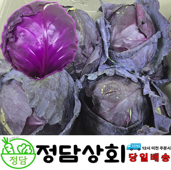 [ 정담상회 ] 국내산 적채 적양배추 샐러드채소 2kg 4kg 8kg 내외 샐러드야채, 1박스