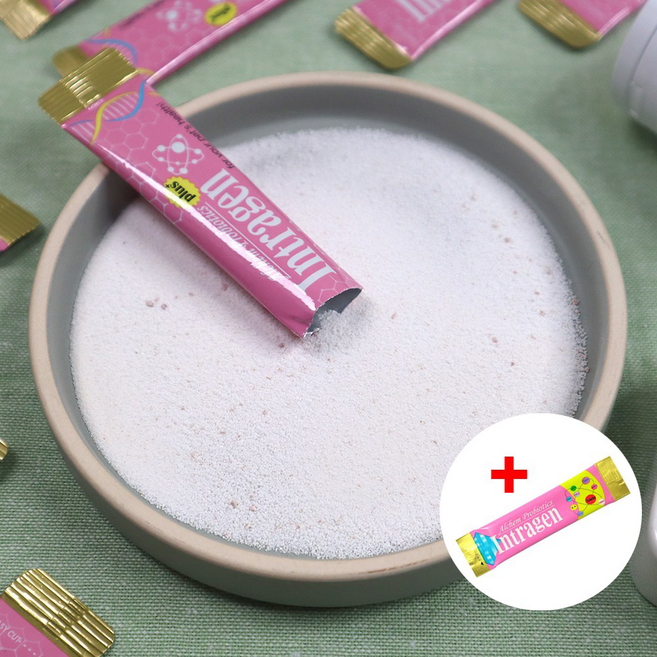 강아지 고양이 개 복명음 소화제 위장 분말 영양제 소화불량 구토 구역질 햄스터 토끼, 60g, 1개, 소화기능/췌장/위개선