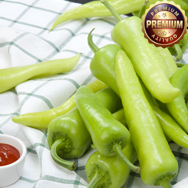 농가직송 혈당조절 당조고추, 1개, 500g (최저단위가)