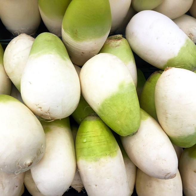 [미식한가] 싱싱한 제주산 세척 월동무 (개당 800-1200g) 무우 김장용 동치미용 햇무 업소용, 1박스, 10kg