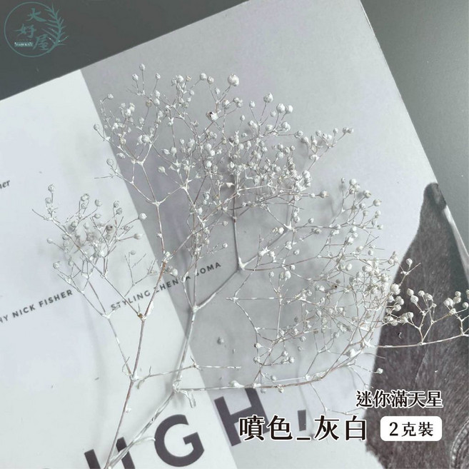 大好屋 迷你滿天星 永生花乾燥花材 DIY手作拍攝道具, 迷你滿天星, 灰白