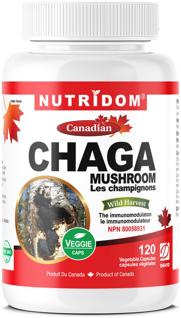 뉴트리돔 캐나다산 차가버섯 추출물 360mg 120식물성캡슐 CHAGA Mushroom 캐나다 직구, 120정, 1개