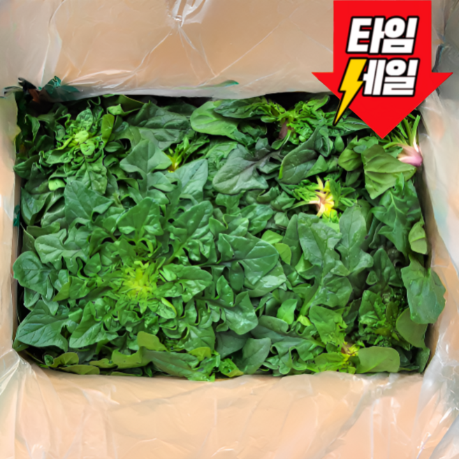 [전국최저특가] 남해직송 시원달큰 남해 시금치 보물초 섬초, 1개, 500g
