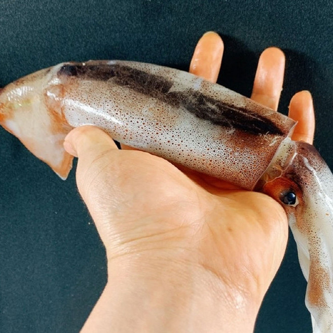 군산 명물! 급냉 물갈퀴오징어, 2개, 800g이상(5미)