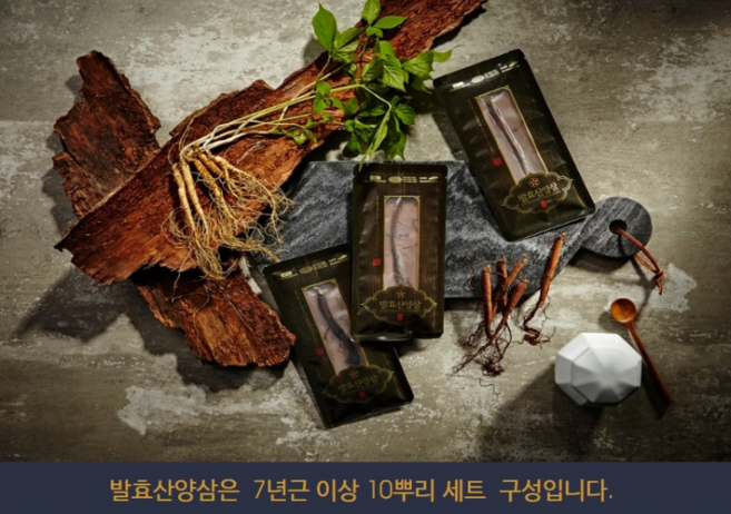 산양삼 환 국내산 특허 발효 고품질 프리미엄 진공 낱개 포장 식약처 해썹, 1개