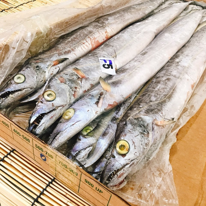 업소용 예맨 냉동 갈치 약16kg (8kg x 2박스) 500-700g큰갈치 약26마리전후