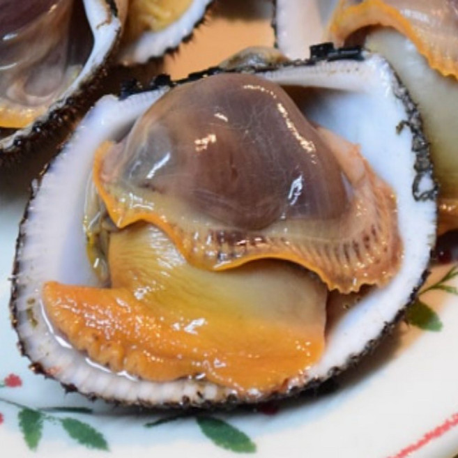 신선품다 벌교 자연산 피꼬막 산지직송 제철 피조개 왕꼬막 꼬막반찬요리 최상품, 1박스, 3kg