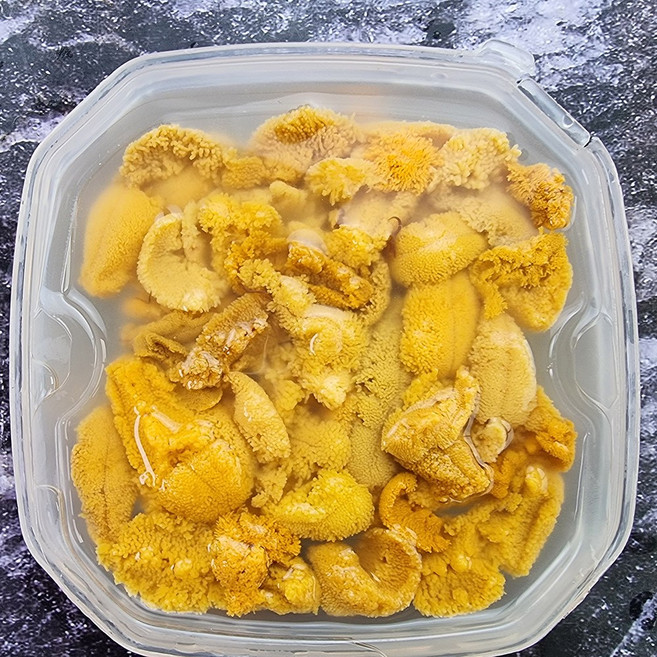 동해안 국산 제철 생물 우니 보라 성게알 100g 450g, 1개, 보라성게알100g(실속형)