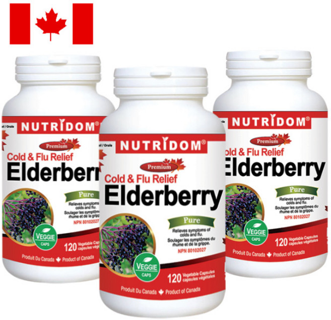 (3팩 특가) 뉴트리돔 엘더베리 콜드&플루 120캡슐 N244, 3개, 120정