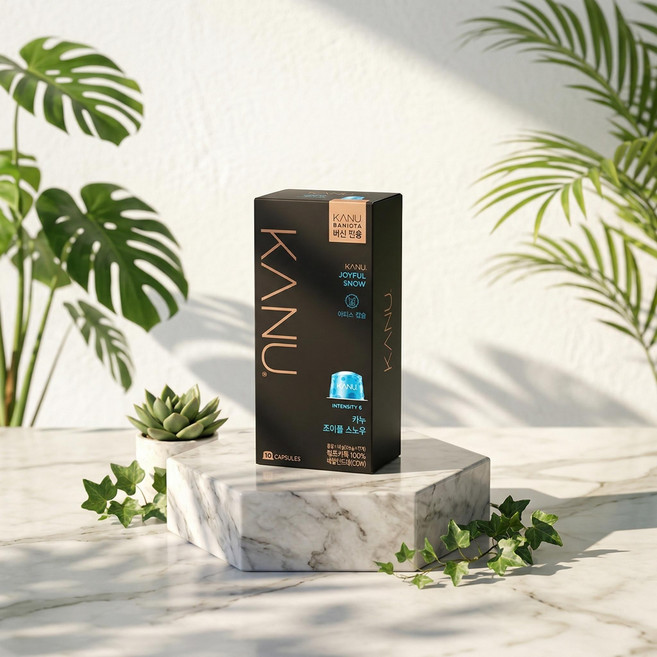 카누 바리스타 전용캡슐 조이풀 스노우 10개입 4팩, 4개, 9.5g