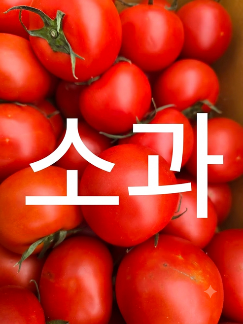 정품(주스용아님)3번~5번)토마토 국내산 자연초농산, 1박스, 5kg