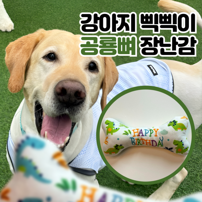 LETOJ 강아지 공룡 뼈다귀 장난감, 그린, 1개